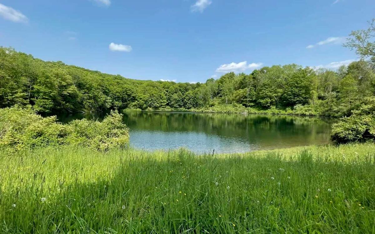 Press Village of Millerton New York